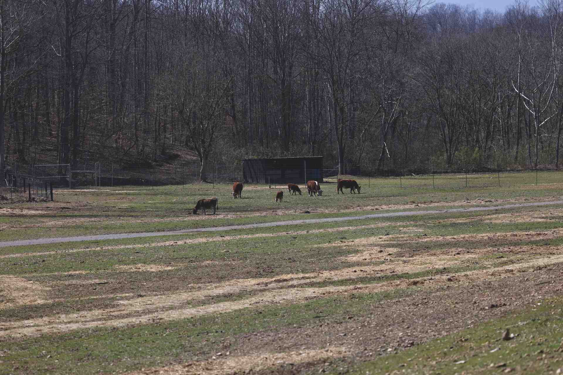 Farm-to-table dining at Bison Ridge