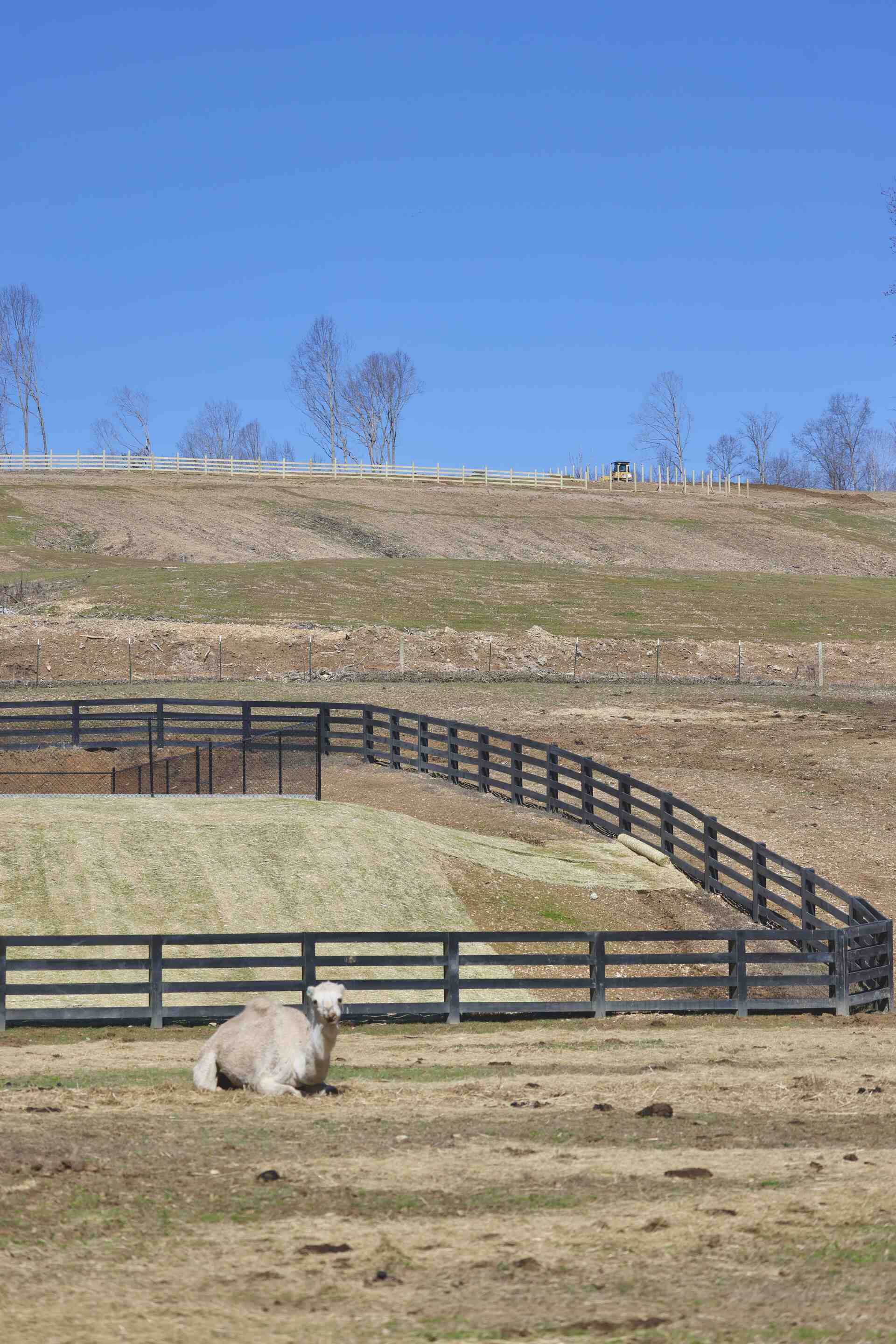 Winter at Bison Ridge