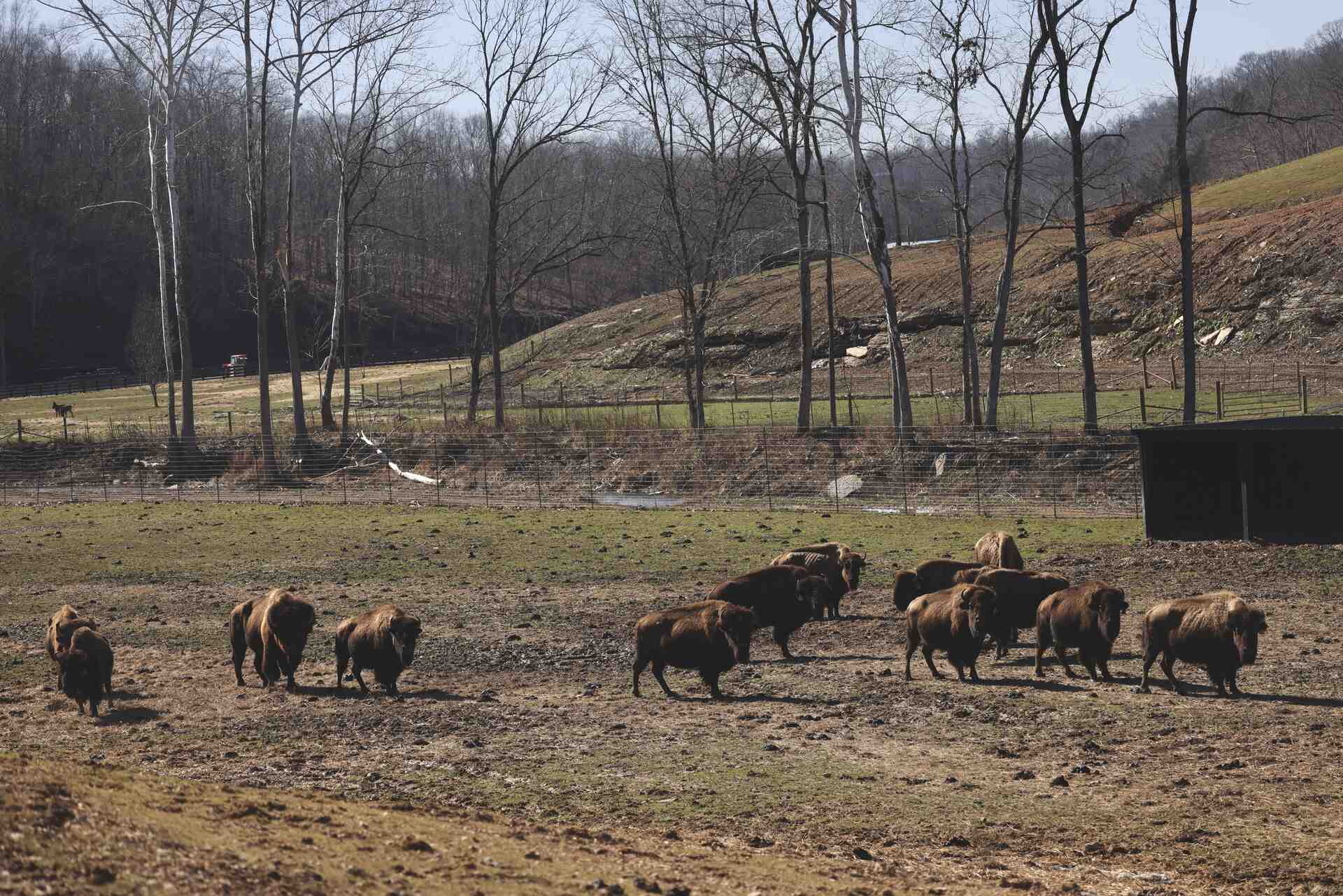 Tennessee rolling hills